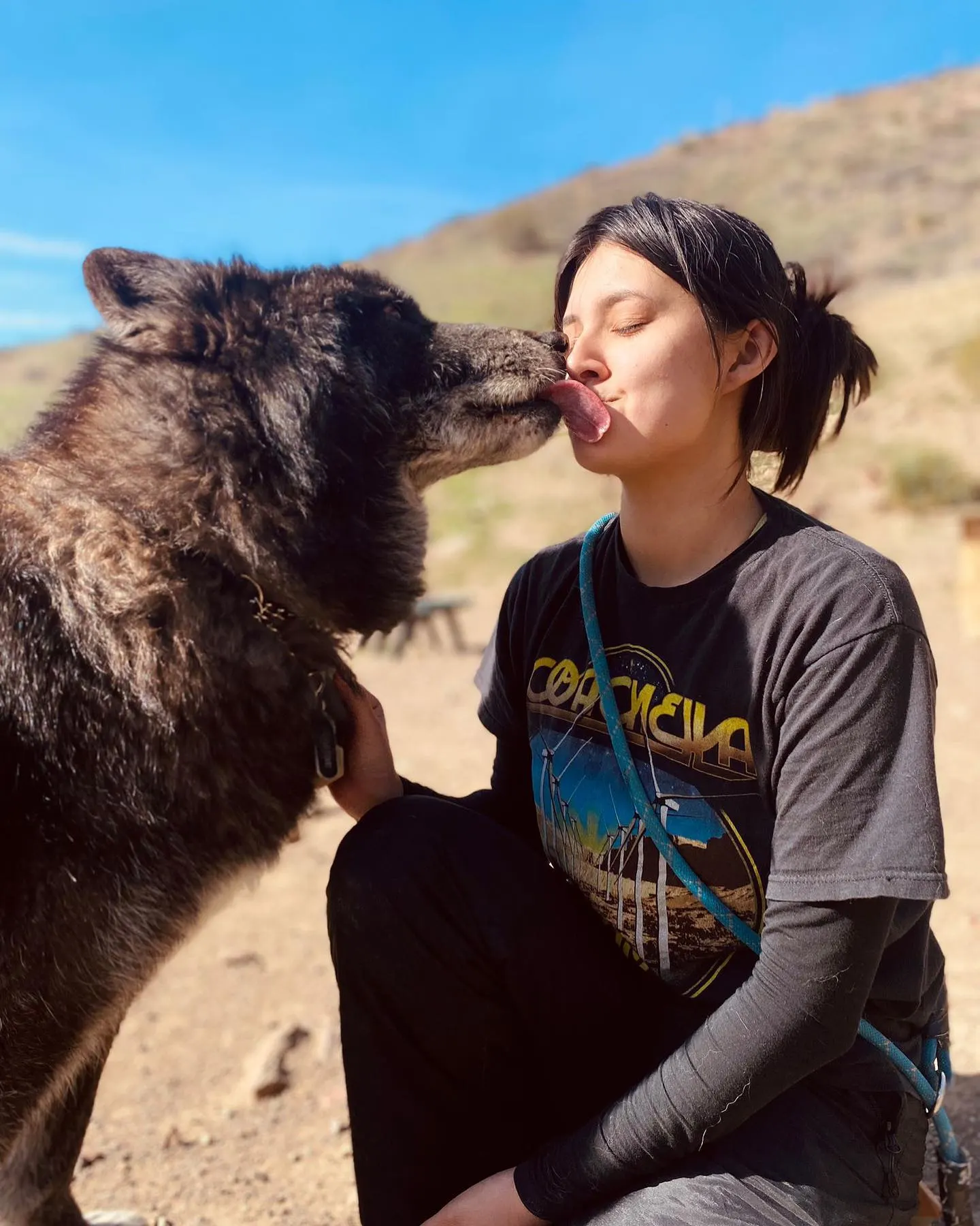 photo of wolfdog licking woman's face