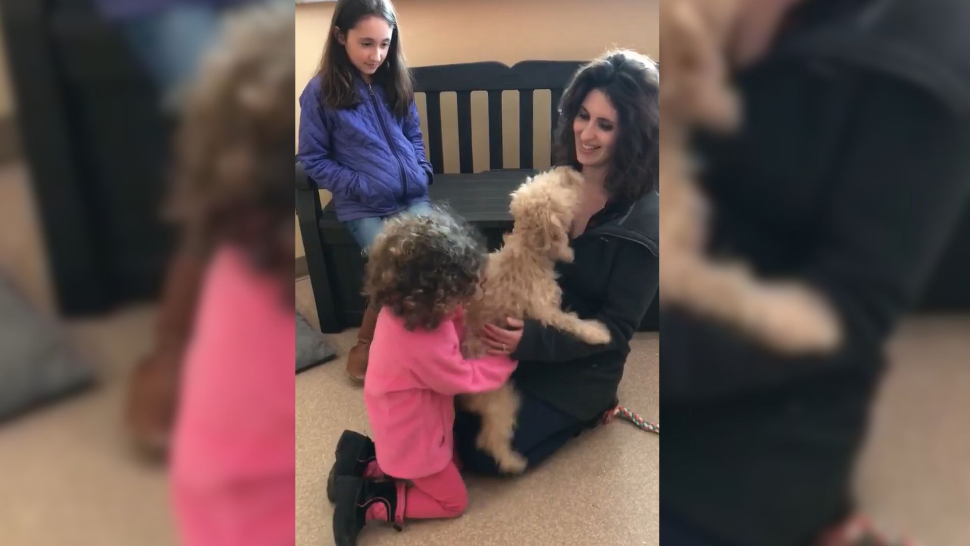 girls playing with dog