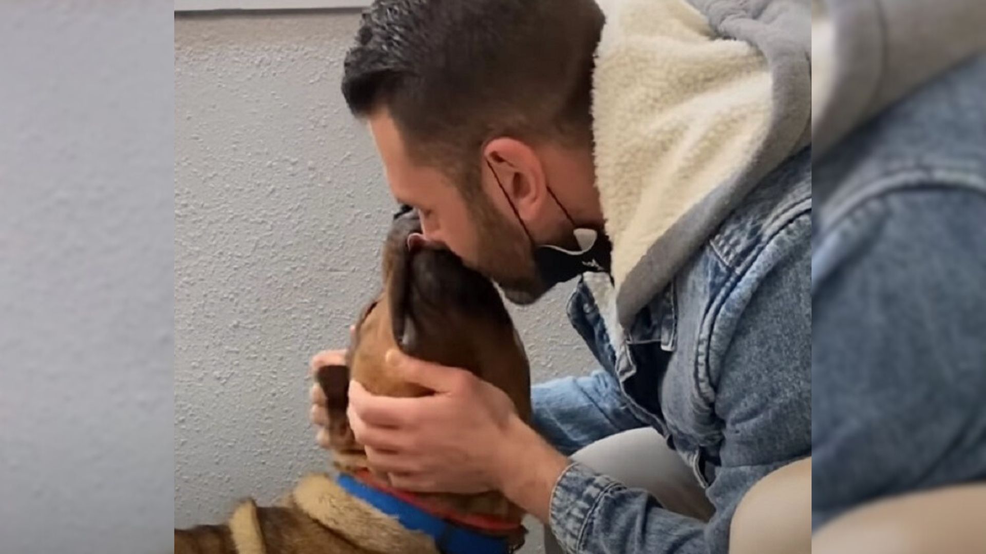 Dog Labeled Aggressive Abandoned By His Owner Finds The Best Dad In The World