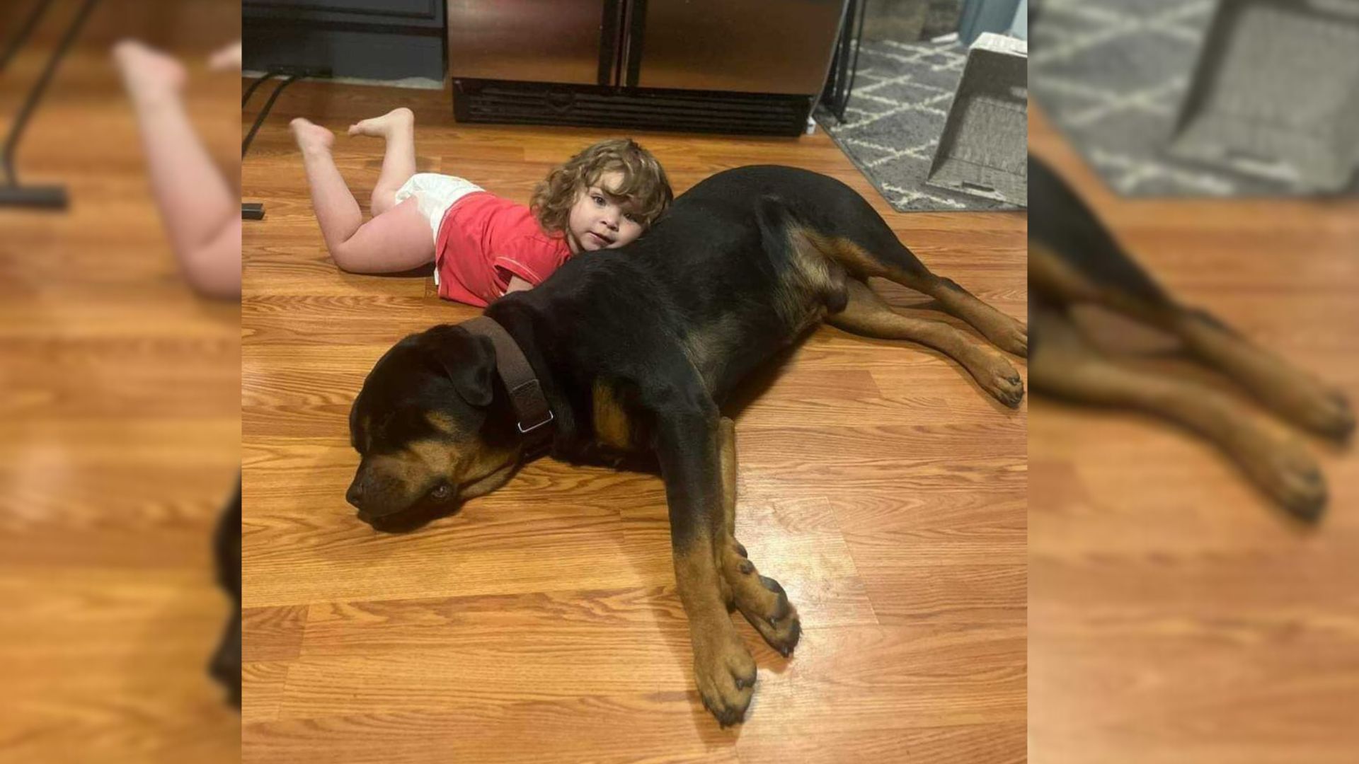 little girl with dog on the floor