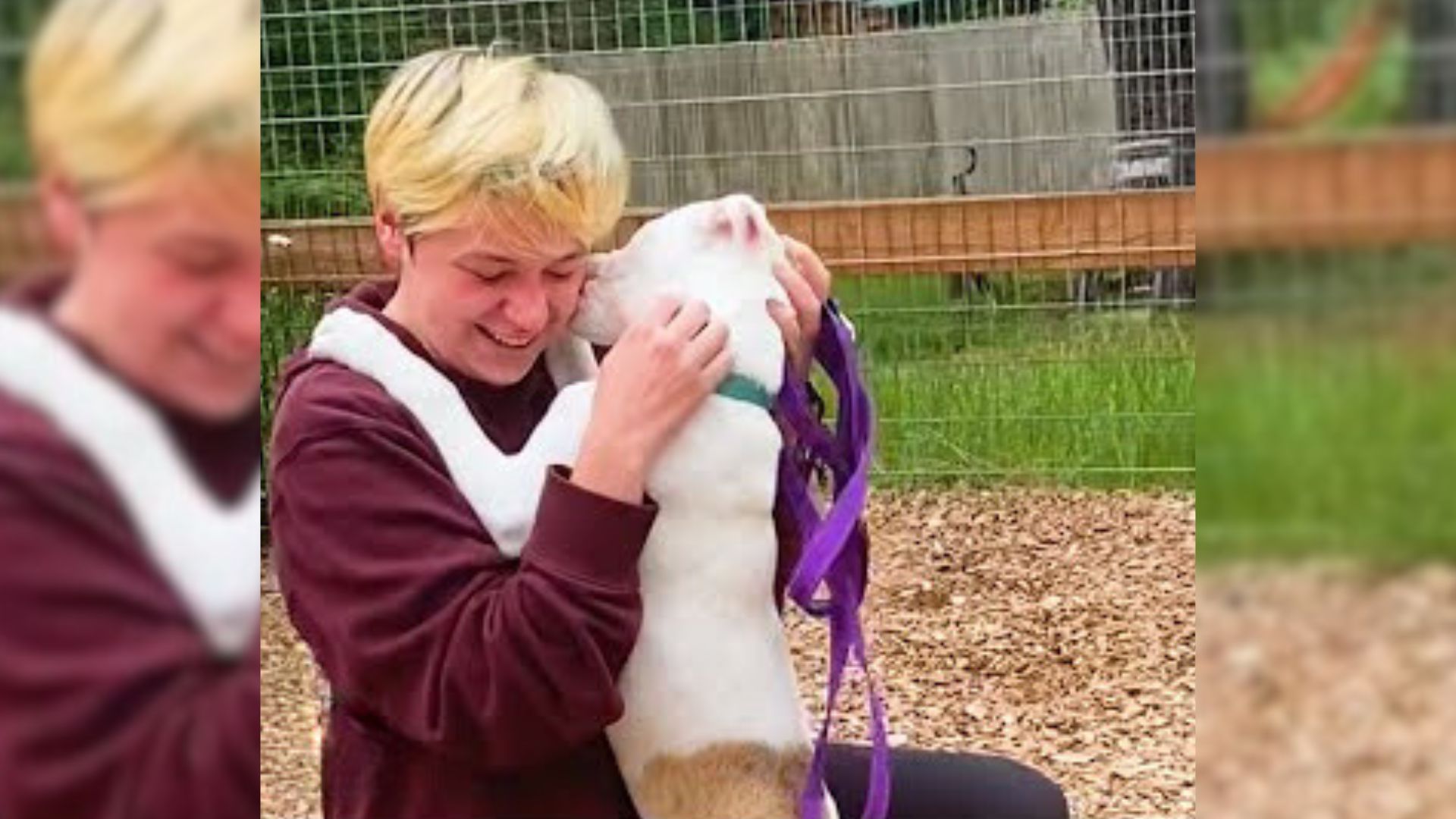 stray puppy with woman