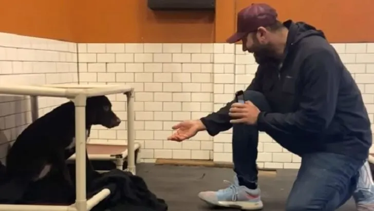 Trembling Shelter Pup Showers Her Foster Dad With Kisses