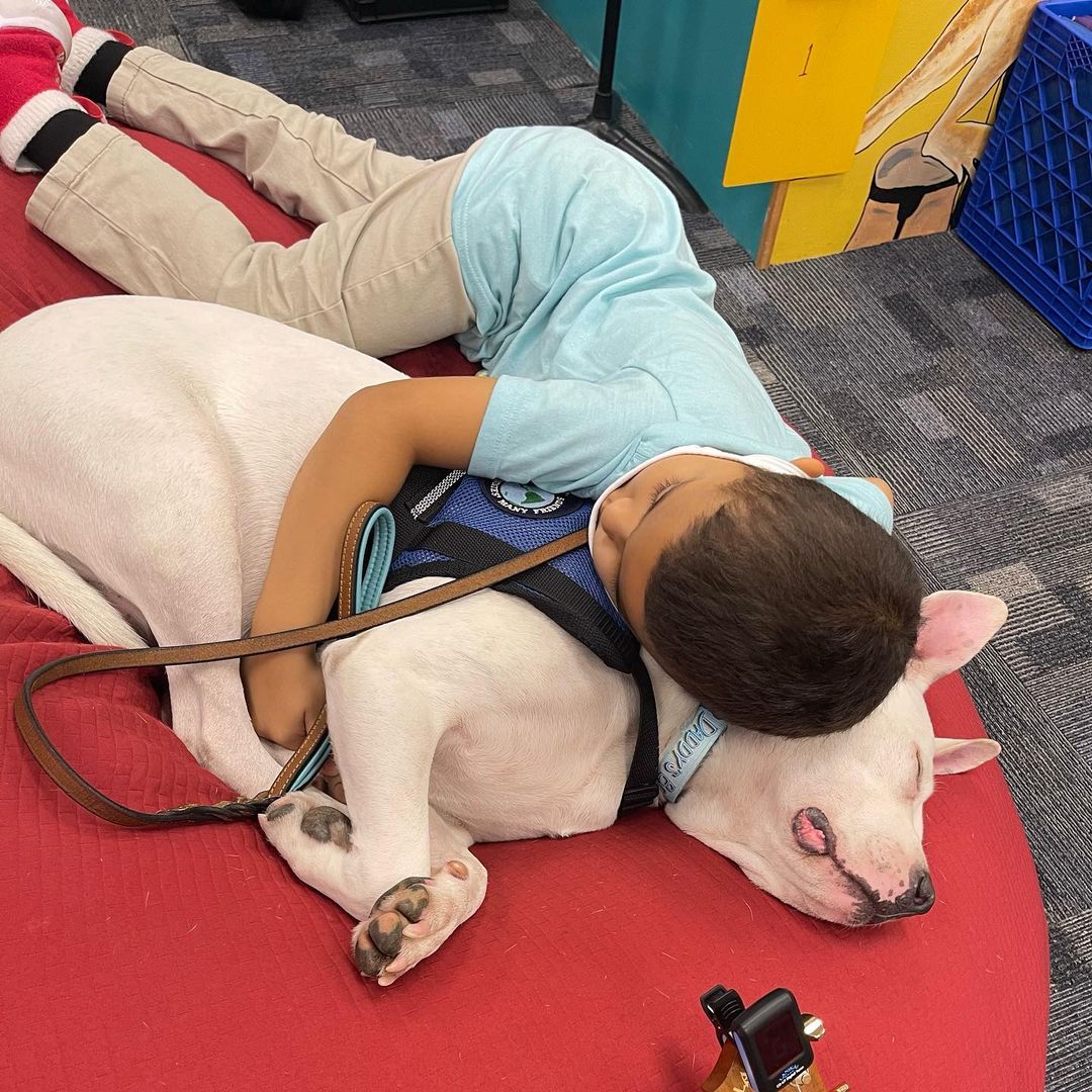 boy sleeping on a dog