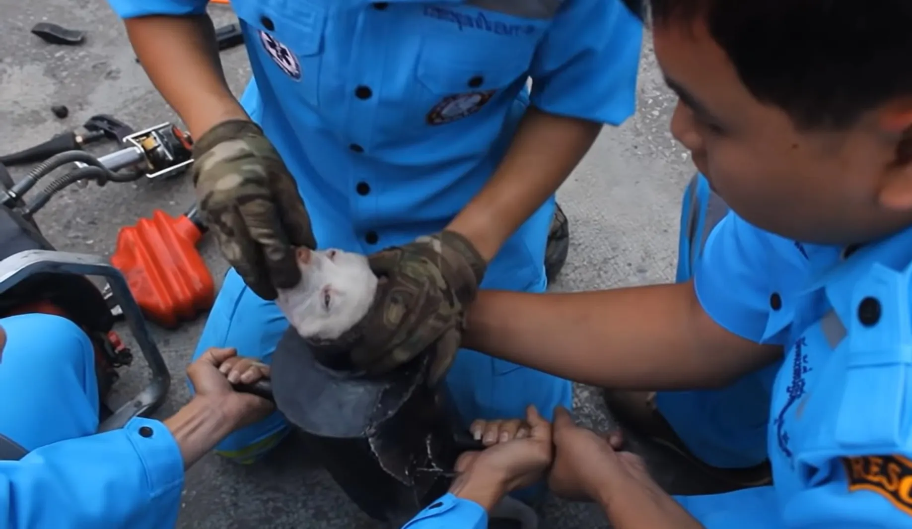 men helping the stuck dog