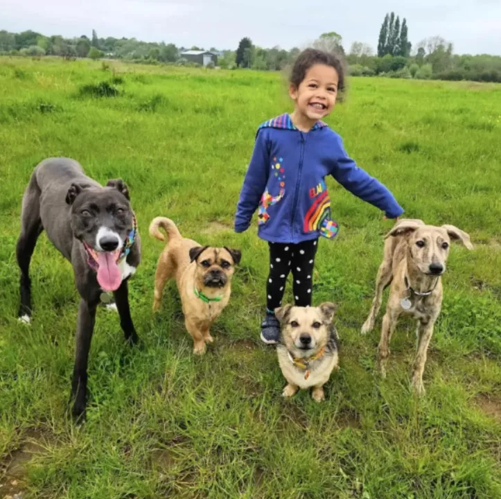 portrait of a smiling girl with dogs in a field