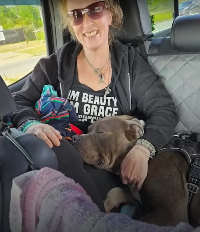 woman and dog in a car