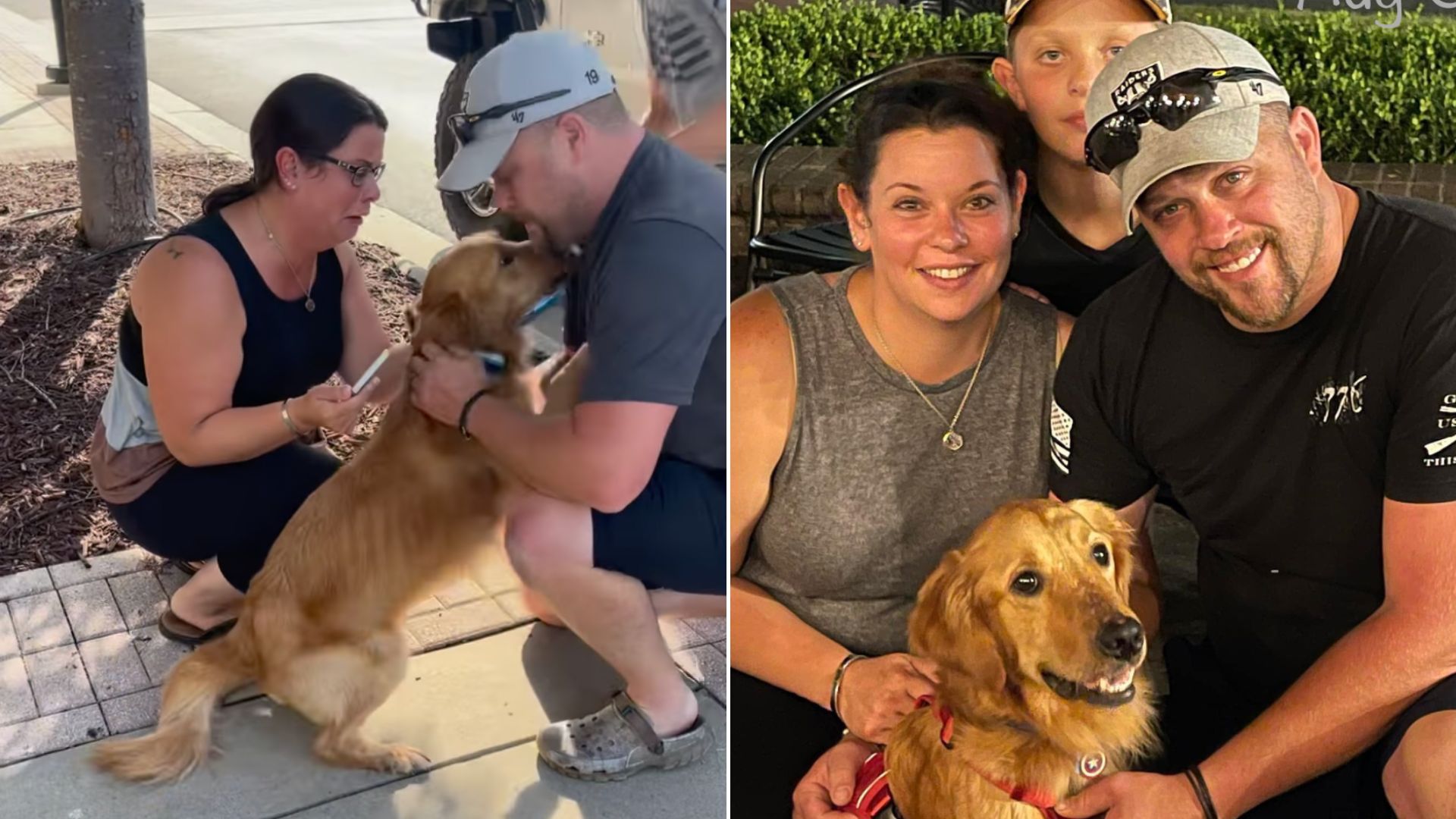 An Entire Community Came Together In Order To Find A Missing Dog Lost While On Vacation