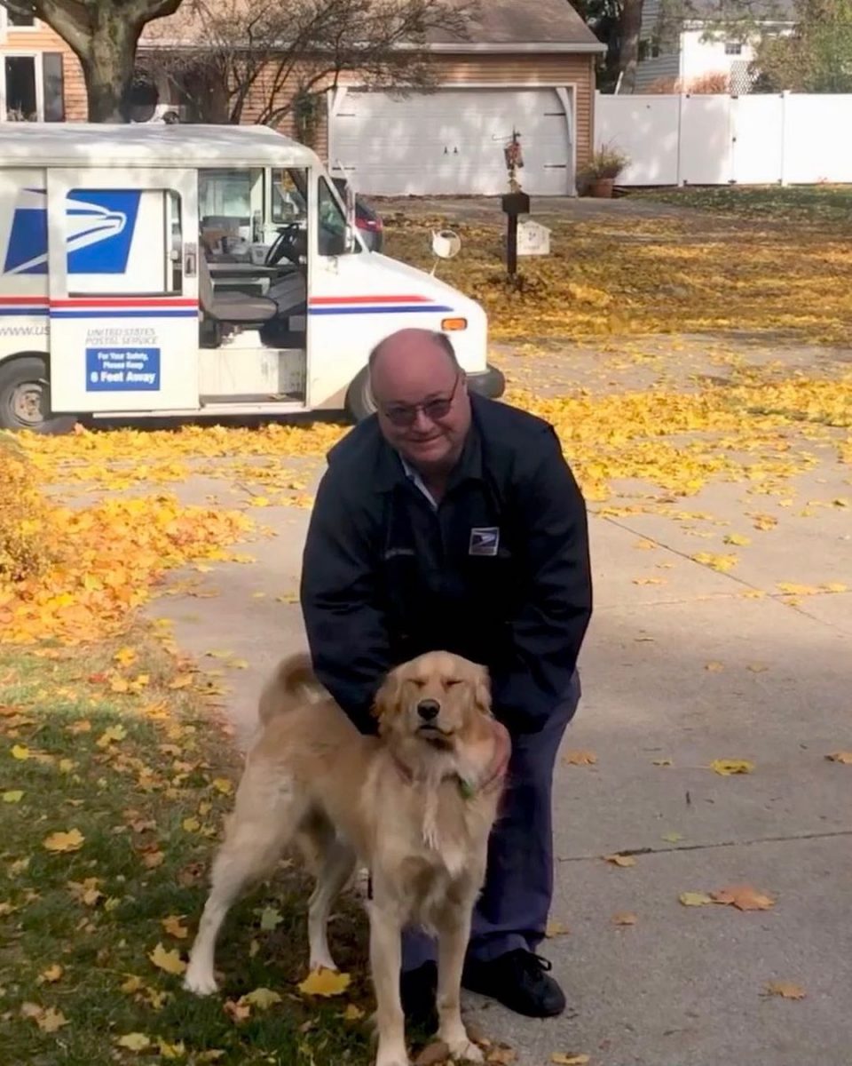 A Golden Retriever And A Mailman Melt Hearts With Their Adorable ...