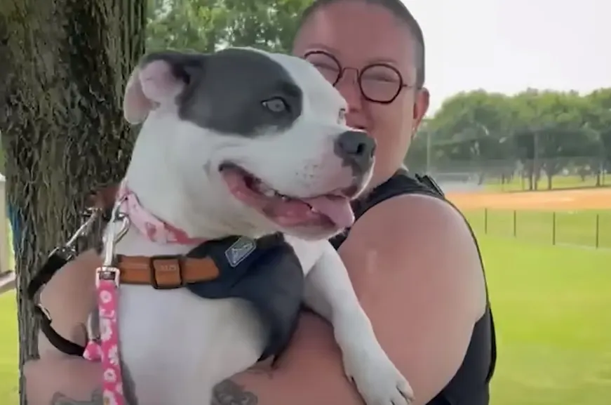 woman holding pitbull