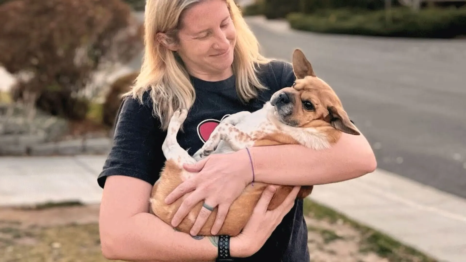 Woman Adopts A Very Unusual Dog Who Is A Mix Of 13 Different Breeds