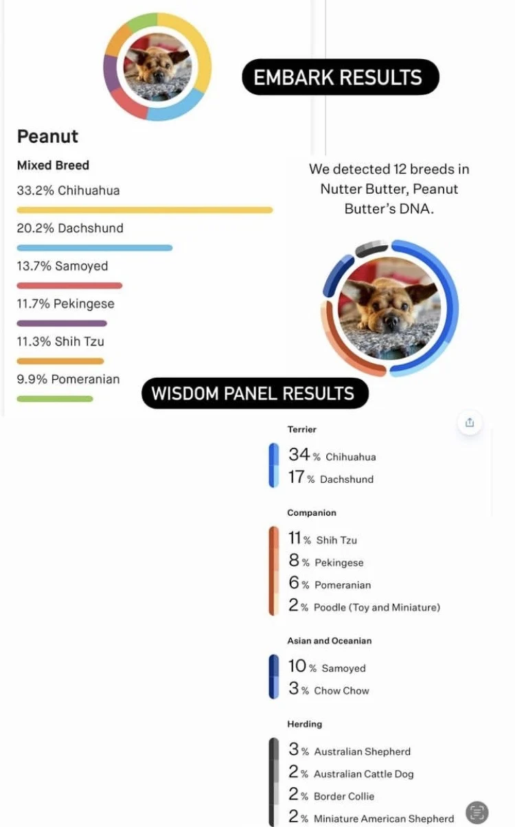 embark results