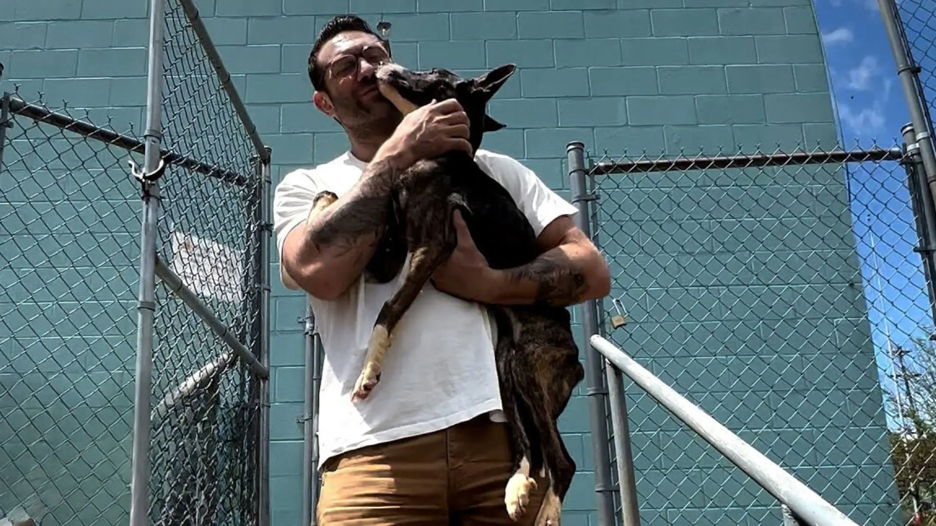 A Kind Man Adopts A Malnourished Rescue Dog And Gives Him A New Chance At Life