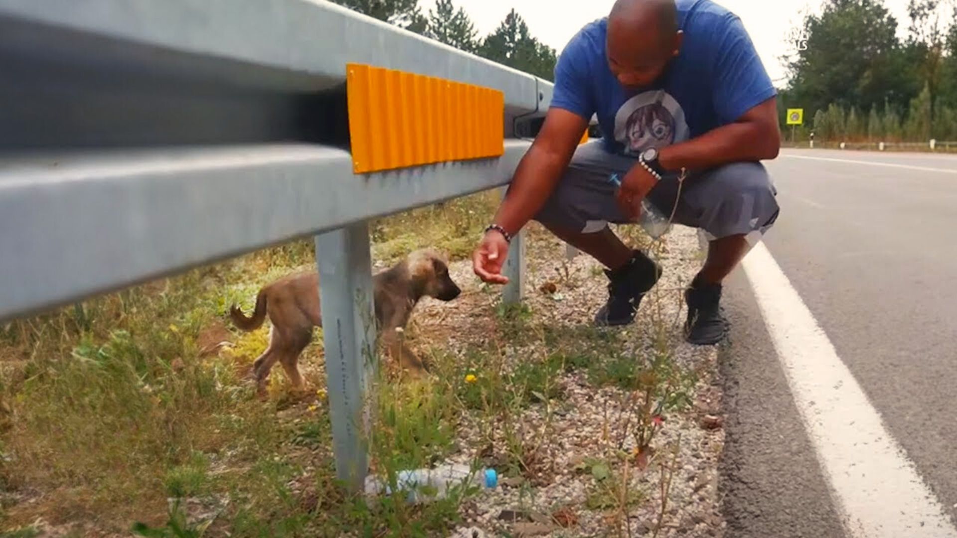 Couple Drops Everything They Were Doing To Save A Terrified Puppy Living On The Roadside