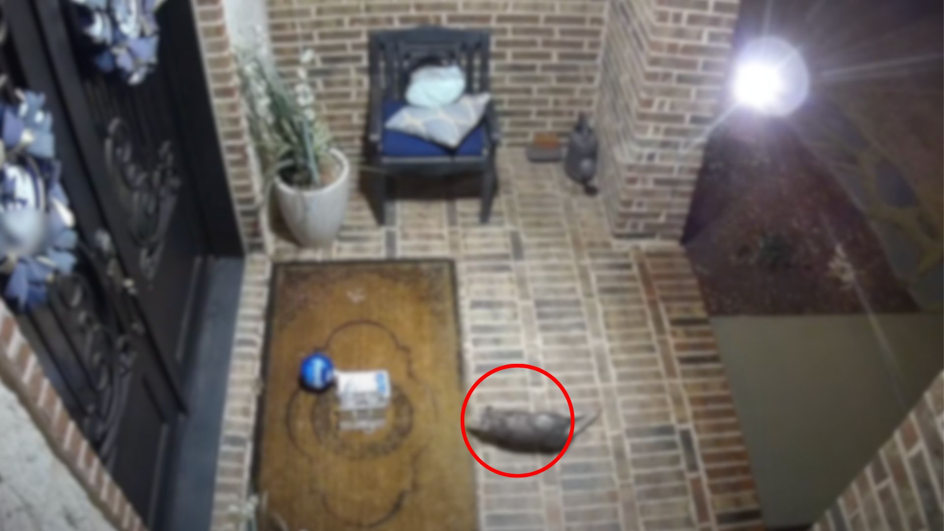 Birthday Gift Mysteriously Vanished From Doorway But The Security Camera Revealed It All