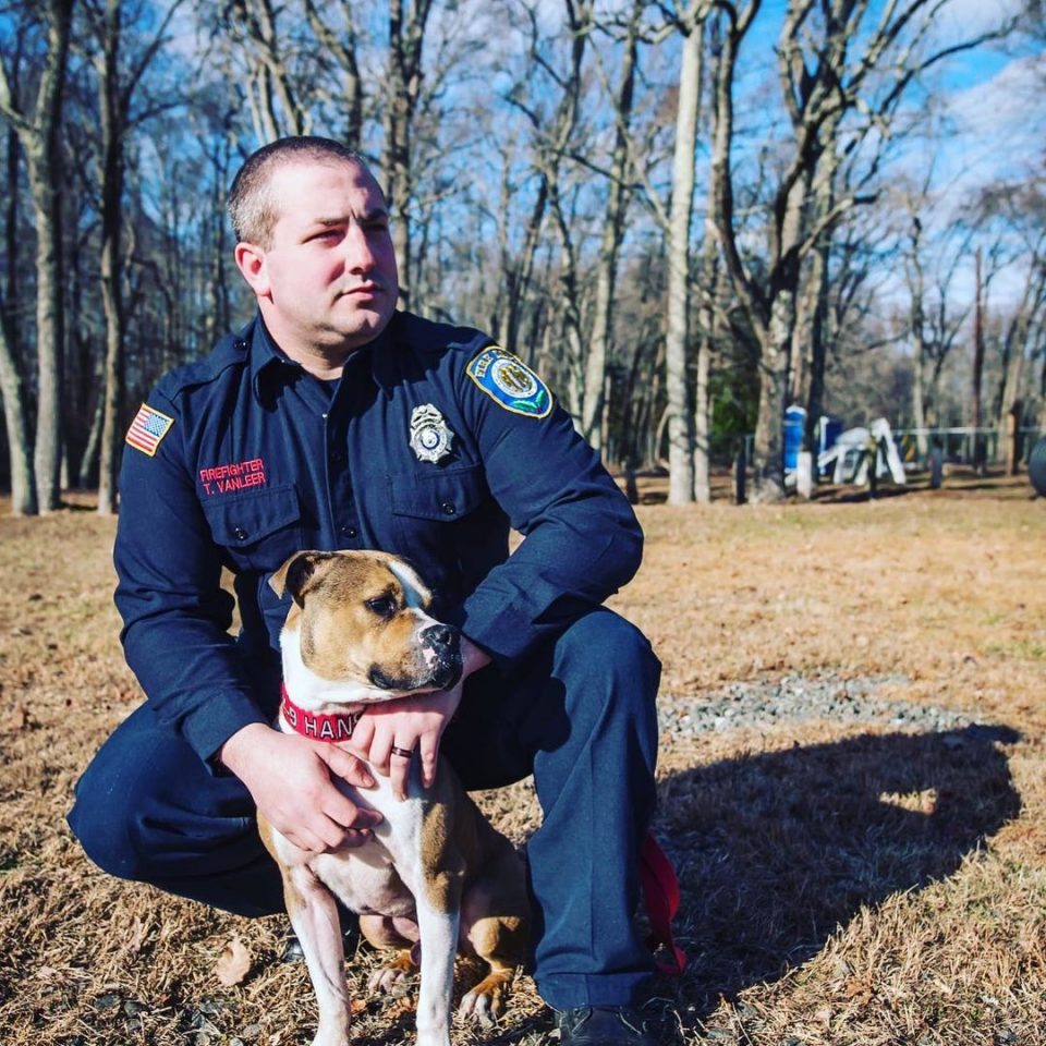 Pit Bull Who Was Saved From Dog Ring Becomes First Arson-Detection K9 ...