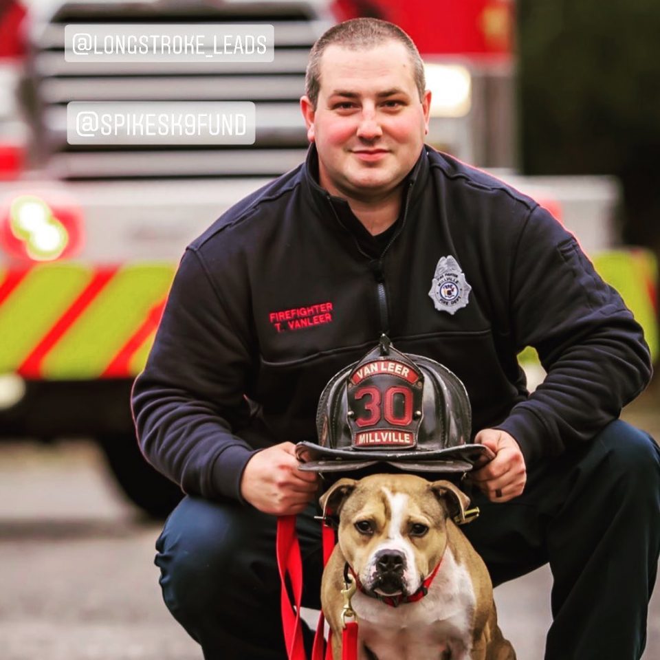 Pit Bull Who Was Saved From Dog Ring Becomes First Arson-Detection K9 ...