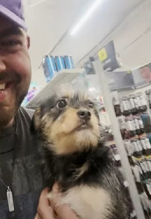guy holding dog in the store