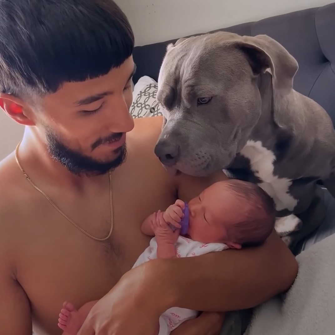 man holding a baby next to a pit bull