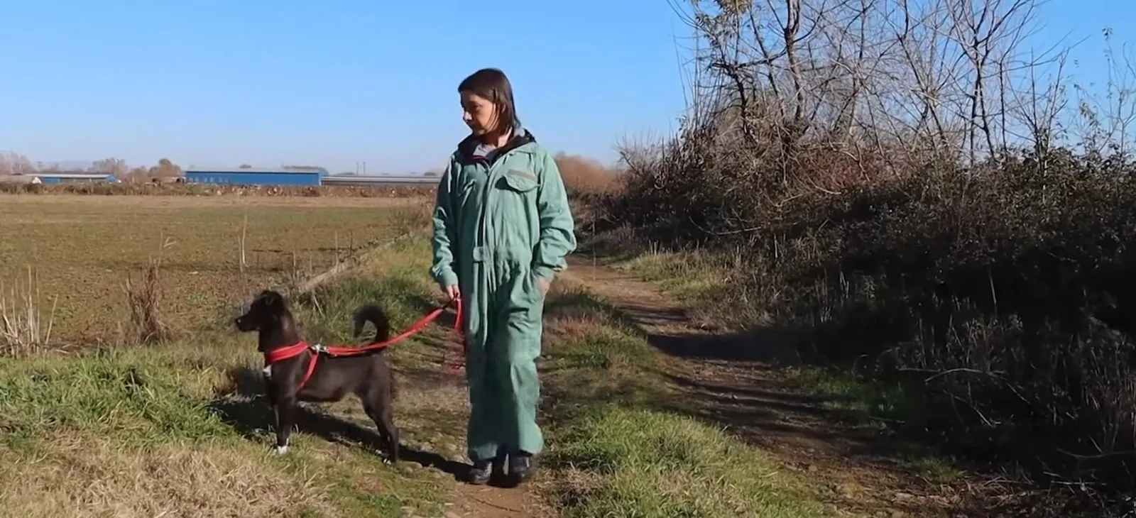 woman walking a black dog