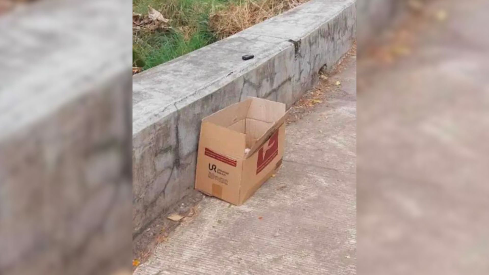 A Group Of Cyclists Shocked To Discover A Box With An Unexpected Surprise In It