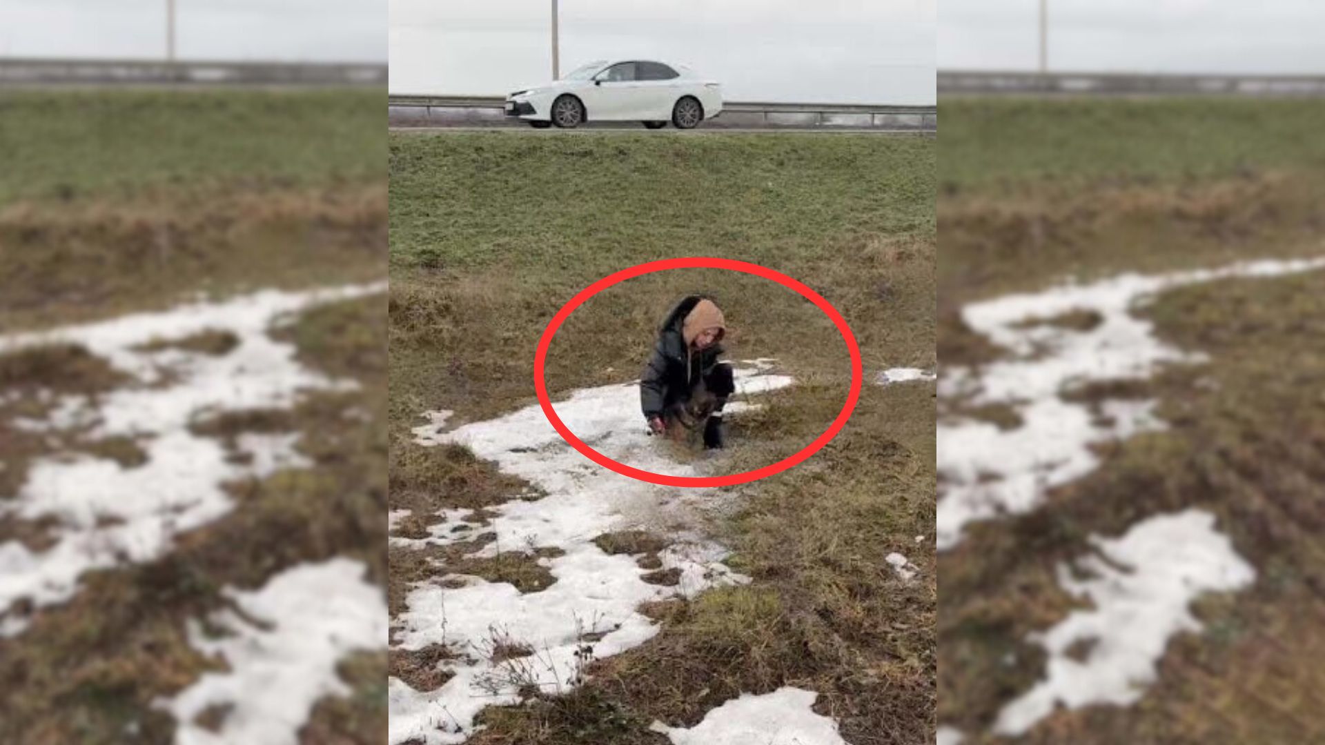 The Incredible Recovery Of The Little Abandoned Pup With Frostbite Brings His Rescuer To Tears 