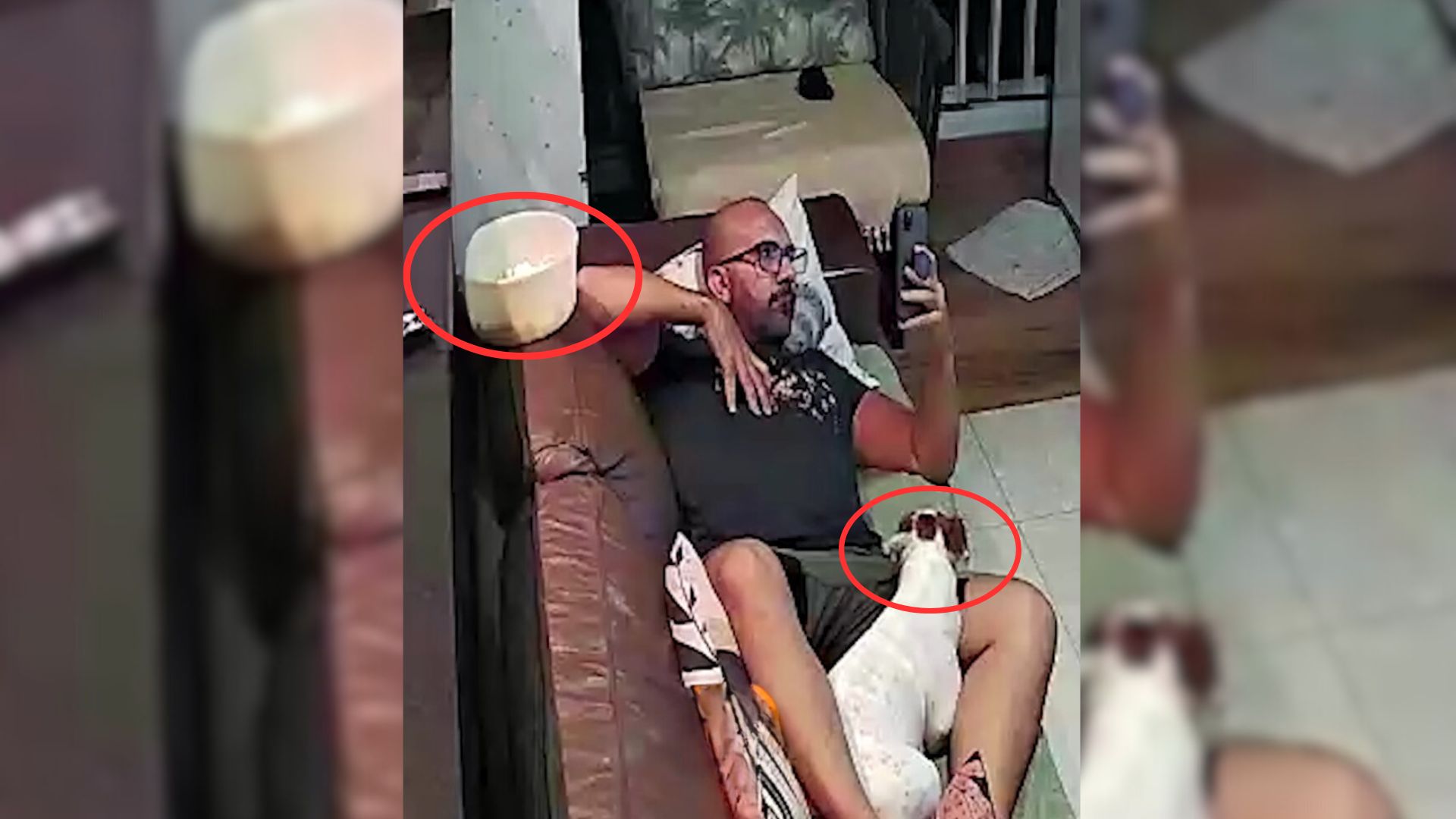 Witness This Dog’s Funny Reaction When His Dad Starts Secretly Grabbing Snacks