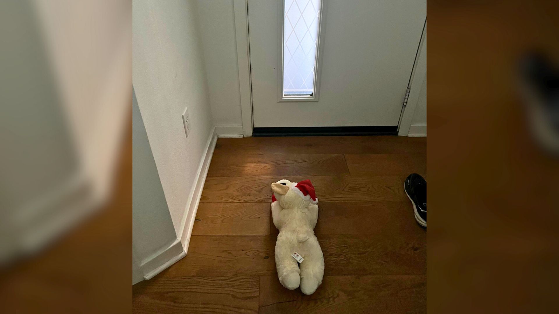 This Sweet Pup Left His Favorite Toy At The Door And The Reason Is So Heartwarming