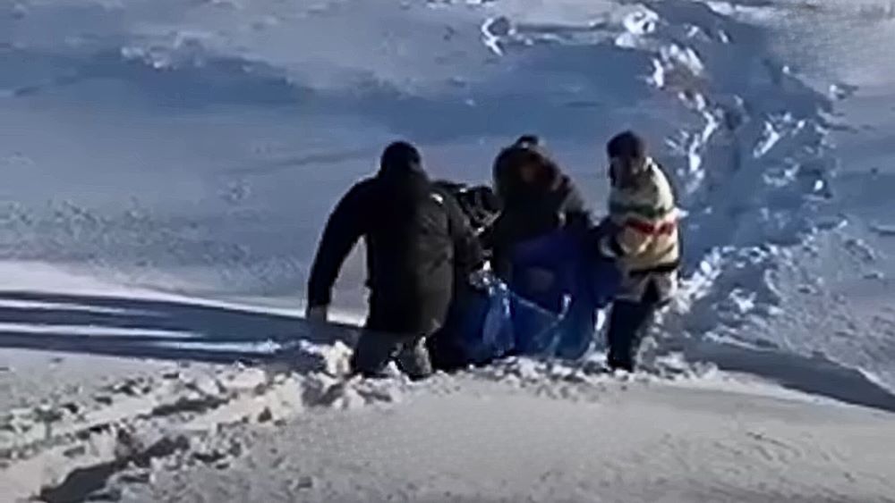 group of people helping dog in the snow