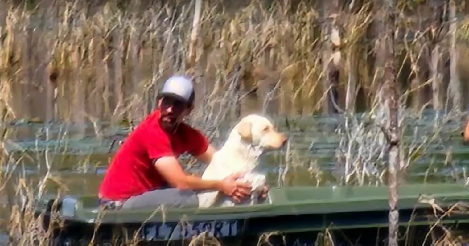 guy and dog in a boat