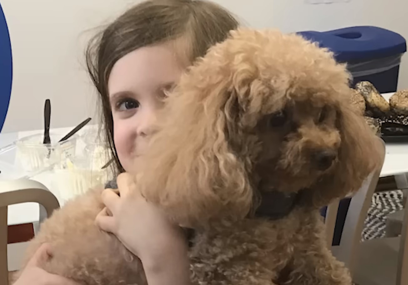 kid holding a dog