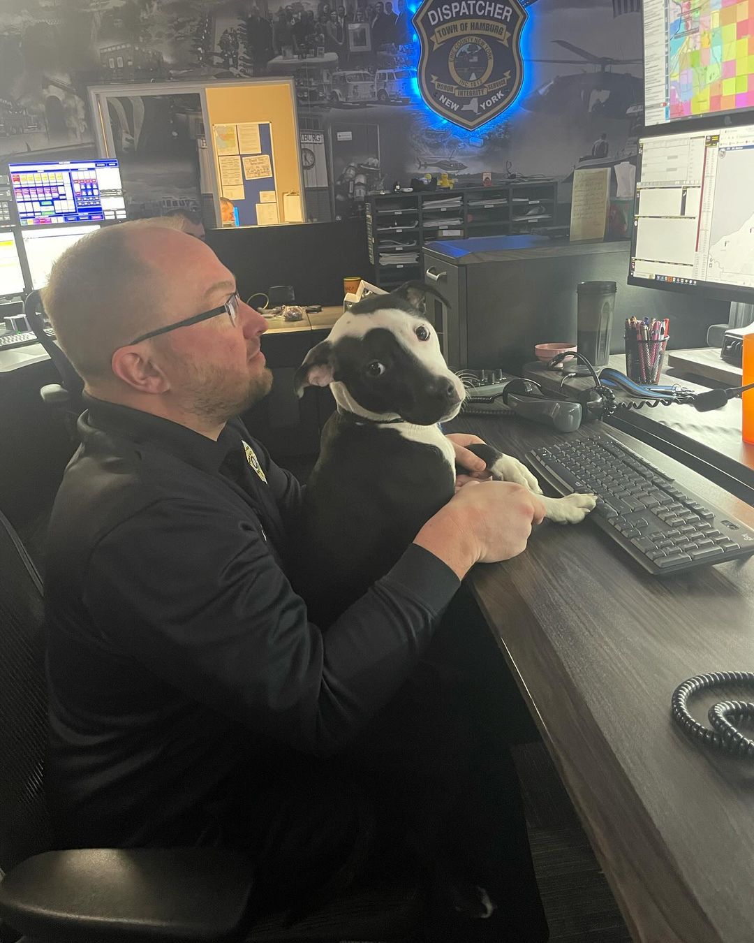 man holding a dog on himself while working on computer