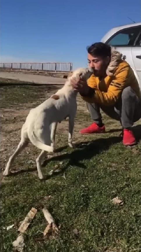 man kissing dog