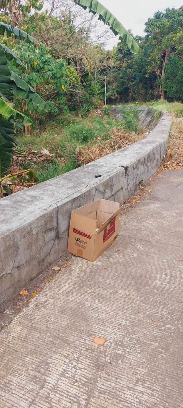 photo of abandoned box