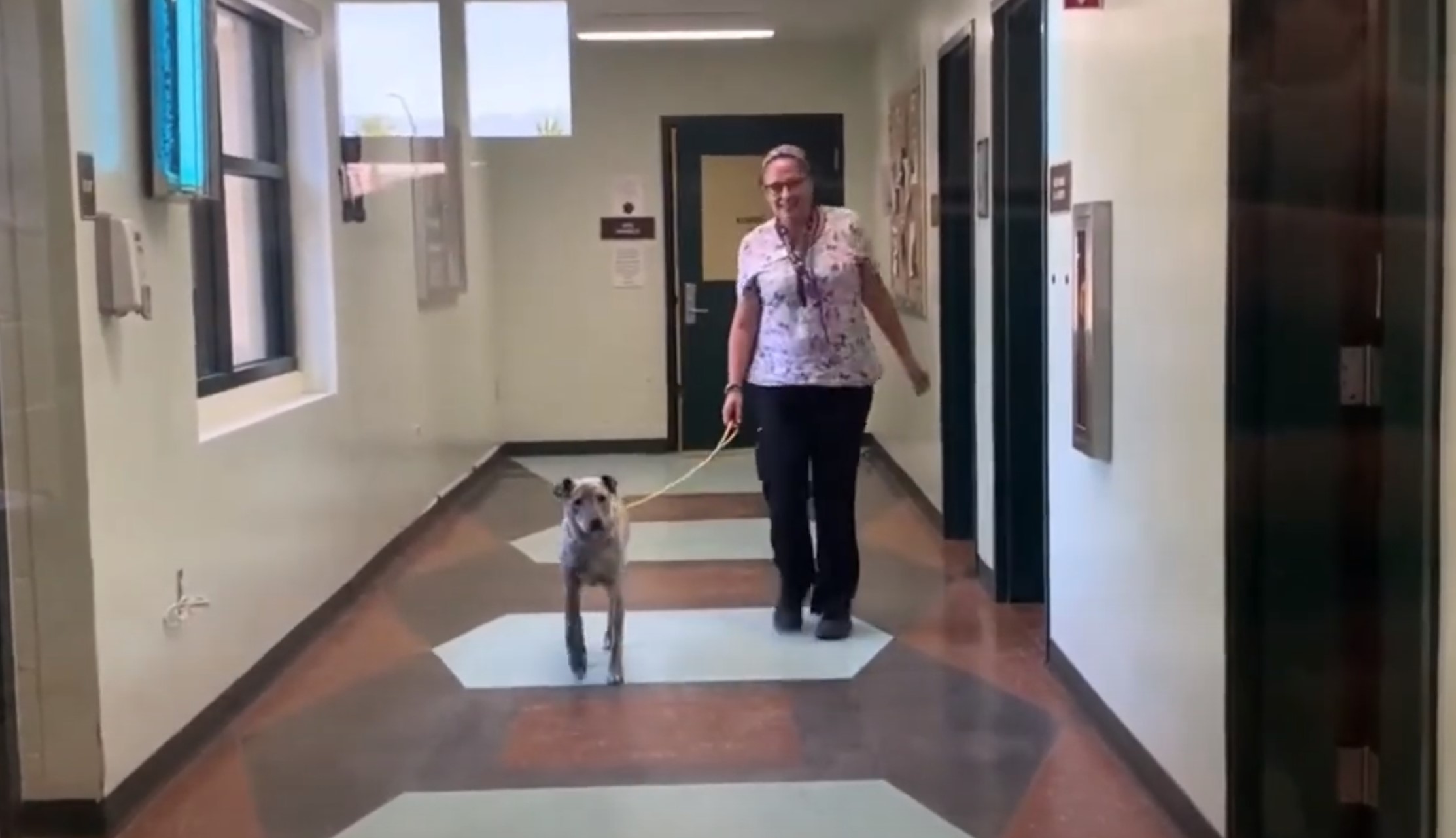 woman walking the dog down the hall