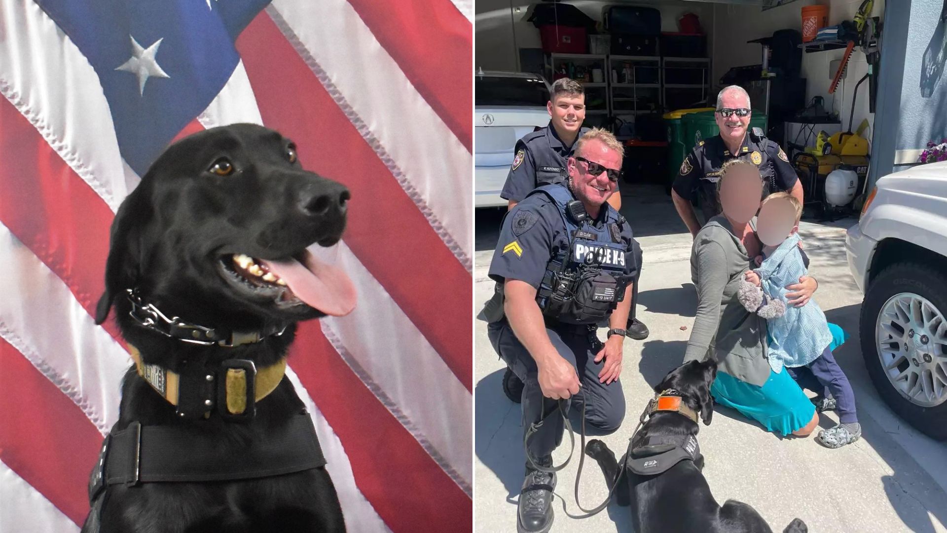 Determined Florida Police Dog Helps His Hoomans Find The 3-Year-Old Boy Missing In The Woods