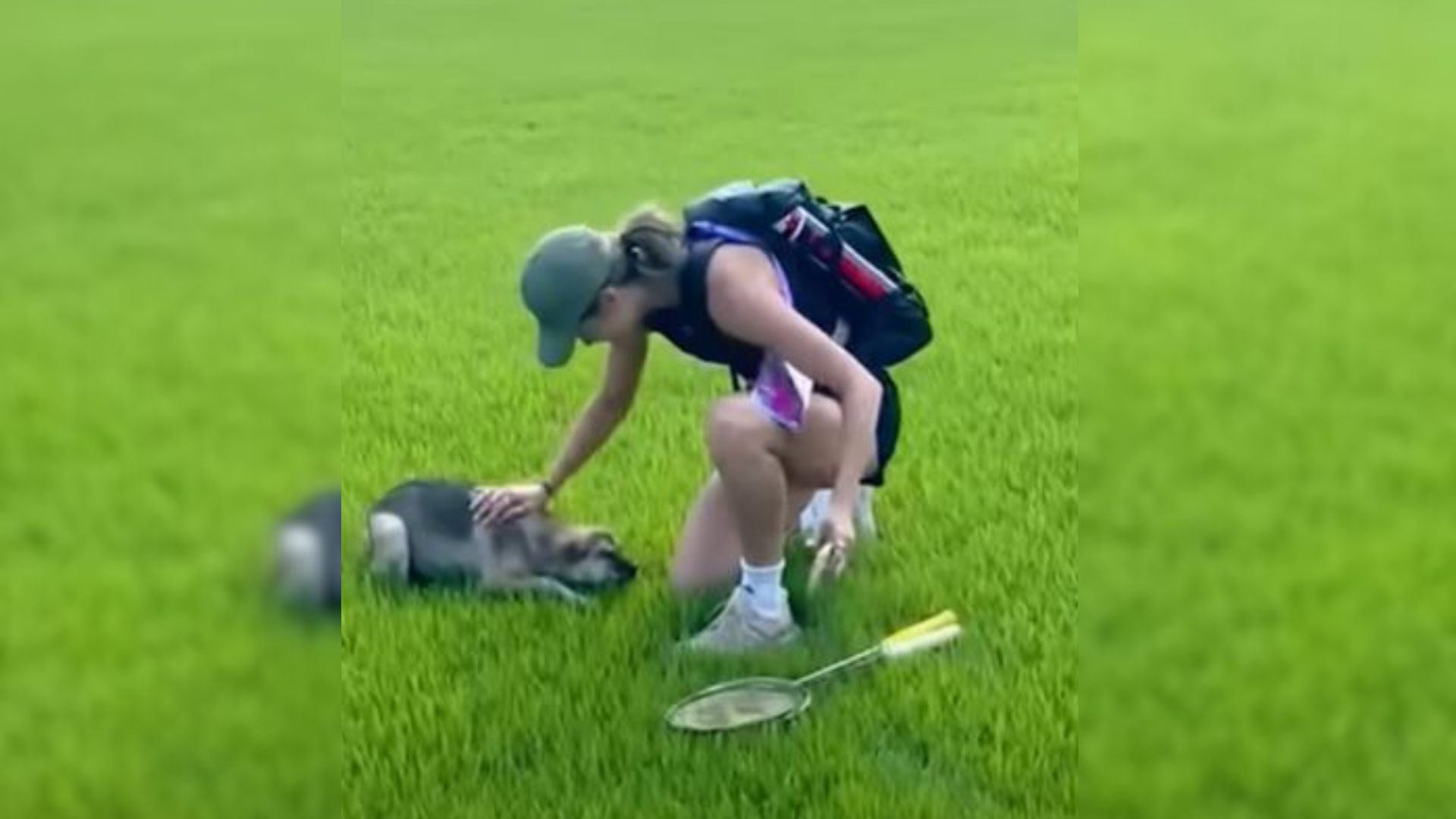 This Athlete Noticed A Dog Kept Showing Up At Her Practice So She Did Something Amazing