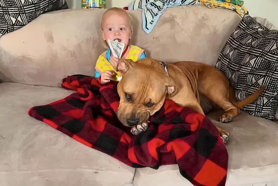 baby with dog on the couch