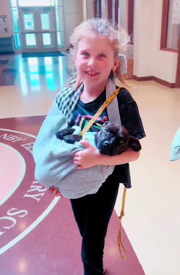 little girl carrying a puppy