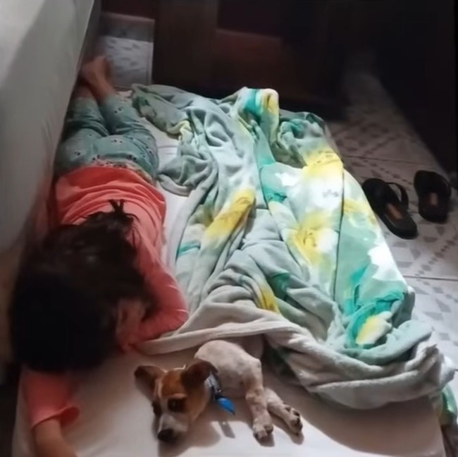 little girl lying next to a dog