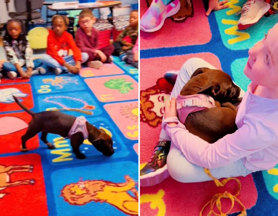 puppy playing with first graders