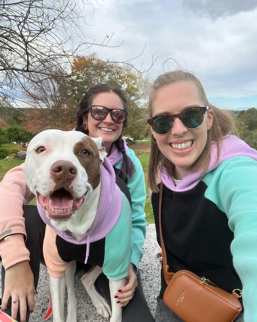 two women and a pitbull
