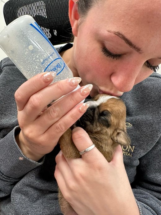 woman feeding puppy with Cleft Palate
