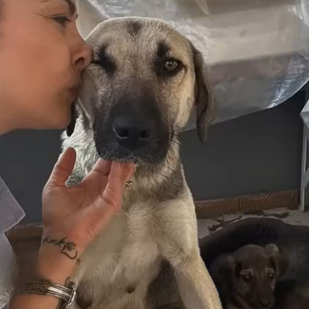 woman kissing mama dog