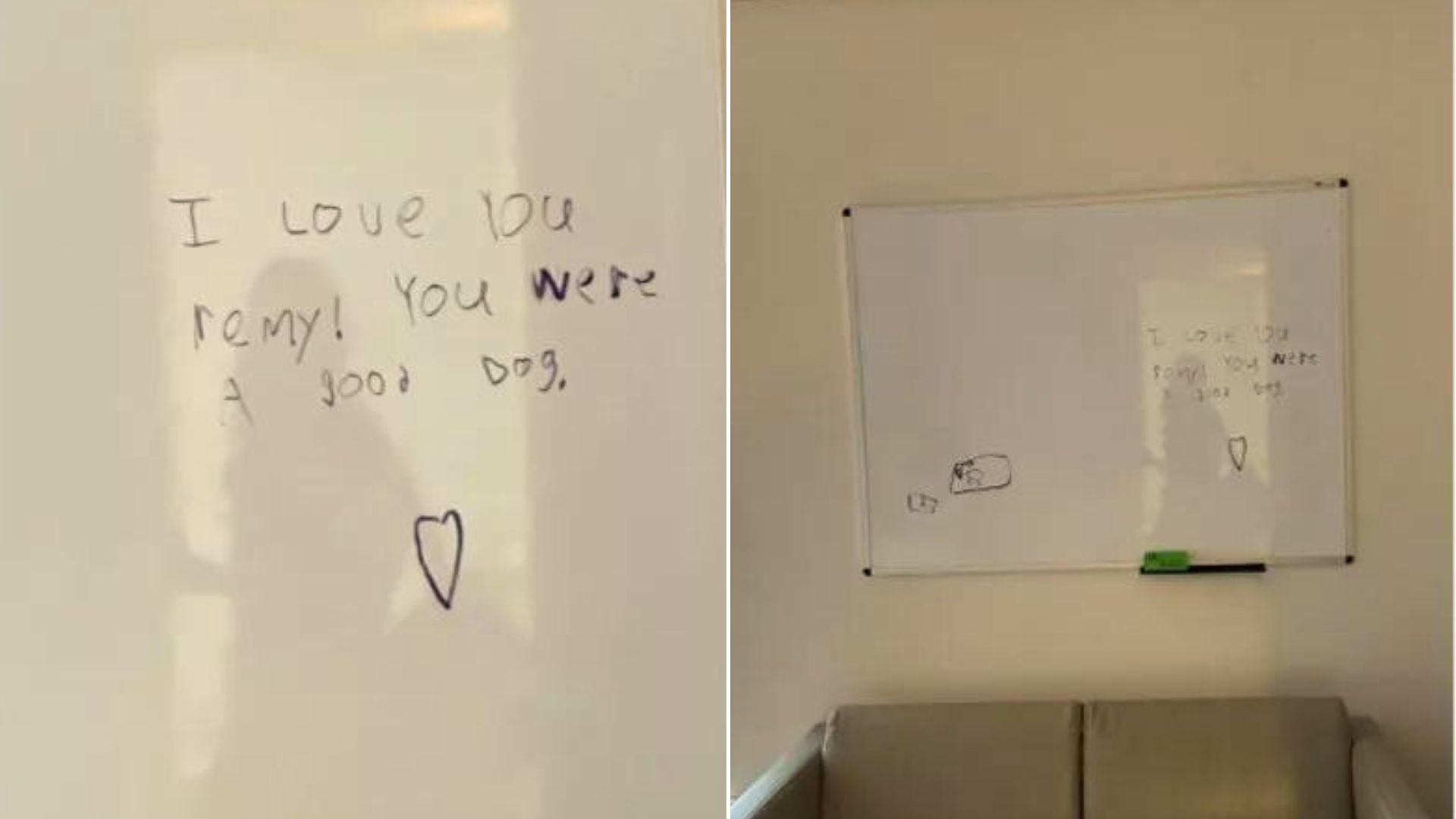 A Grieving Child Left A Message On A Vet Office And It’s Absolutely Heartbreaking