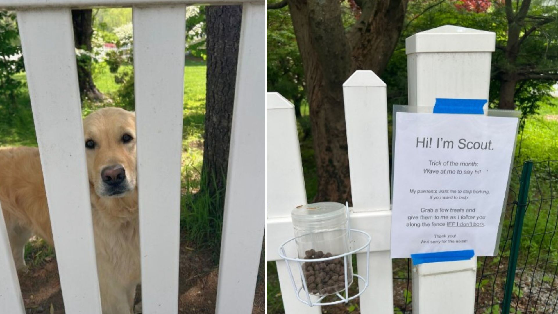 A Sign Posted By The Owners Directs People To Give Their Dog Treats If He Follows One Rule