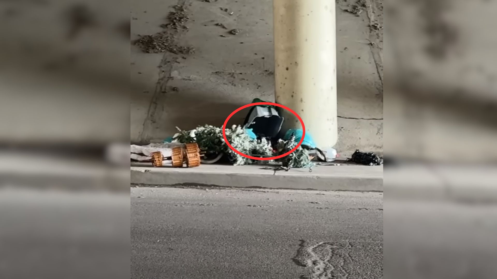 Rescuers Were Surprised To Find This Stray Pup Hiding In A Pile Of Trash Under A Highway