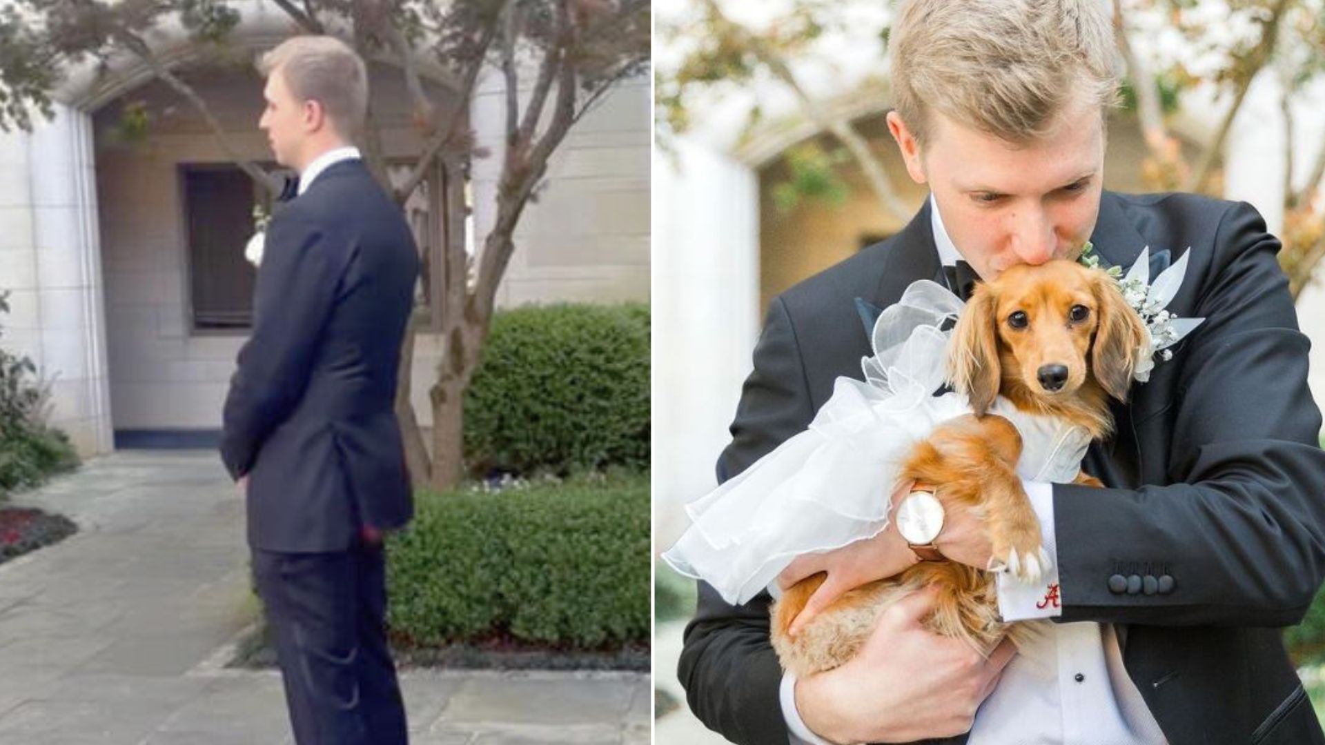 Instead Of The Bride, Groom Saw The Sweetest Surprise That Made The Wedding Day Extra Special