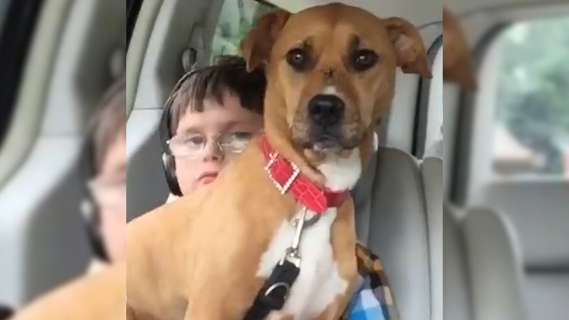 Abandoned Pittie With Zero Chance To Survive Now Helps Her Autistic Hooman Brother Find His Voice