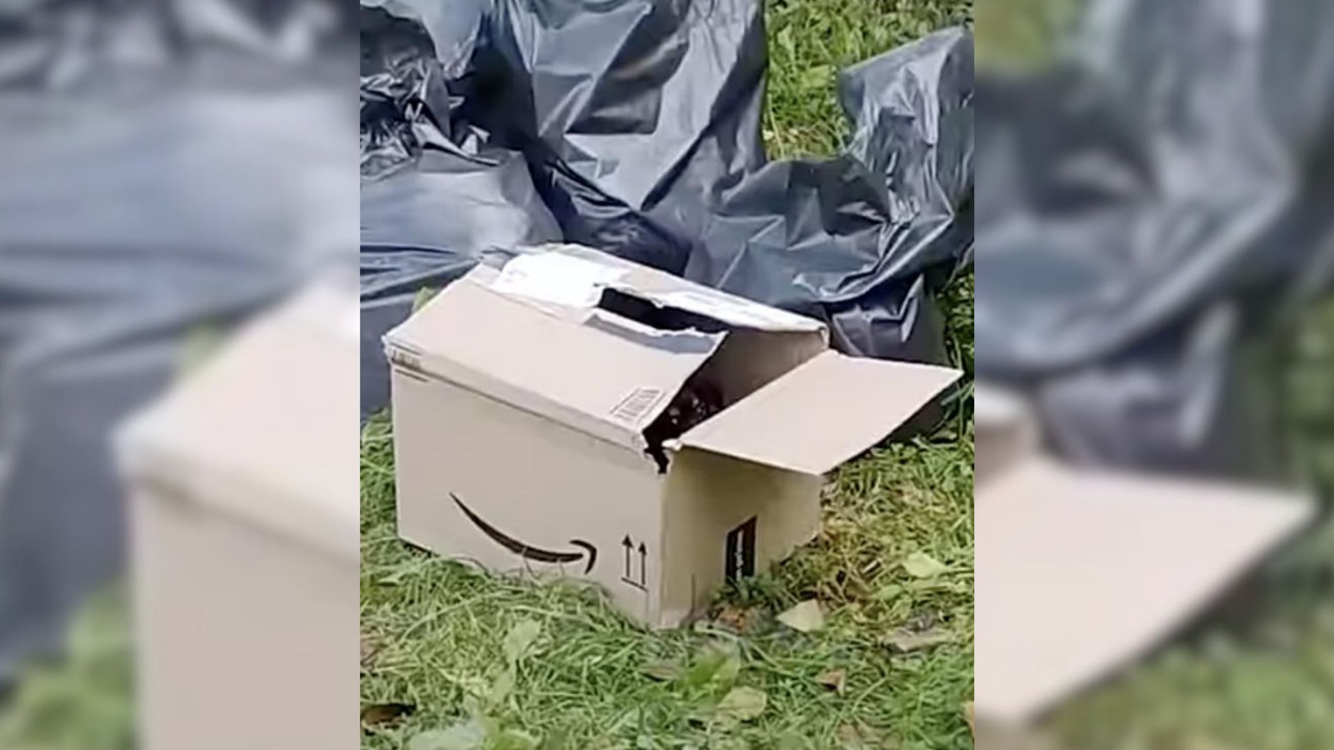 Kind Man Notices An Amazon Box By The Road, Then Hears Heartbreaking Noise Coming From Inside