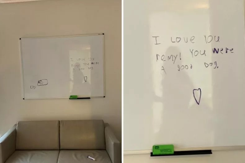 a message on whiteboard
